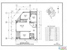 Hình ảnh Chính chủ bán chung cư Viwaseen, 3 phòng ngủ hướng Đông Nam 48 Tố Hữu