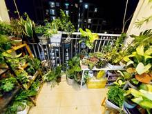 Hình ảnh Cho thuê chung cư Luxgarden, 2Pn, nội thất đẹp