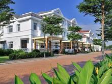Hình ảnh Cần cho thuê biệt thự hưng thái 2,  phú mỹ hưng Q7