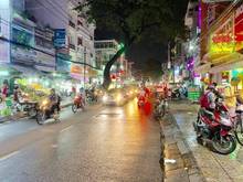 Hình ảnh Bán Đất Mặt Phố Hoàng Hoa Thám 300m2, Mặt Tiền 12m Kinh Doanh Tốt