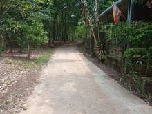 Hình ảnh Bán lô 200m2 gần khu công nghiệp giá 250tr triệu.