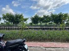 Hình ảnh Cần bán nhà vườn, view sông sg, nghỉ dưỡng mát mẻ full thổ cư.