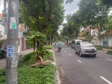 Hình ảnh Cho thuê MT Trương Định. P7. Quận 3
