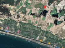 Hình ảnh Bán nhanh lô đất 4454m2 Tuy Phong, mặt tiền đường xuống biển, làm farm