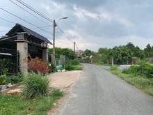 Hình ảnh Bán lỗ đất An Nhơn Tây, Củ Chi 170m2, giá 1 tỷ 550 triệu TL.