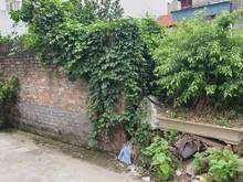 Hình ảnh Bán đất 3 bước chân ra đường Phan Đình Phùng, Đan Phượng 100m2, 3,3tỷ.