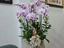 Hình ảnh Nhượng lại nhà 3 tầng, Minh Khai, Hai Bà Trưng, giá 1 tỷ 45