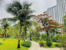 Hình ảnh Mb6623 nạp rút nhanh chóng 2PN+ 69m2 giá 2.980 tỷ (BTP) S10 Origami Vinhomes Grand Park