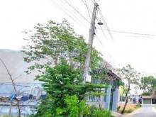 Hình ảnh Tôi cần bán đất 100m2 chỉ 3.2ty-SHR-MT Suối Dinh tiện KD-full TC 100%