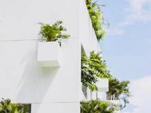 Hình ảnh Bán siêu biệt thự đẳng cấp An Phú Quận 2, (12x20m) Trệt , 3 Lầu 56 tỷ
