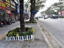 Hình ảnh Đất cực đẹp mặt phố Nguyễn Đình Hoàn - 73m2 x MT 5,6m - Giá quá sốc