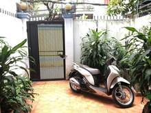 Hình ảnh HXH Nguyễn Thái Sơn Phường 7 Gò Vấp.