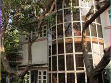 Hình ảnh cho thuê biệt thự sân vườn hơn 800m2 hẻm xe hơi dương quảng hàm
