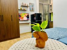 Hình ảnh Khai trương Studio_Lối đi riêng Full Nội Thất_ Trường Sa Phú Nhuận