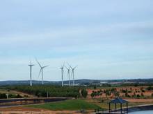 Hình ảnh Bán nhanh đất Farm Tuy Phong sổ hồng riêng view biển BT chỉ 390k/m2