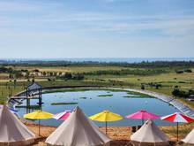 Hình ảnh Cần bán lô đất farm Tuy Phong, Bình Thuận