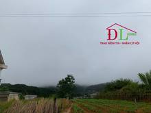 Hình ảnh Bán đất biệt thự KQH An Sơn Phường 4 Đà Lạt view thông cực đẹp - MN284
