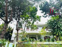 Hình ảnh Bán biệt thự 3 mặt tiền hẻm ô tô Hùng Vương phường 9 Đà Lạt - MN3508
