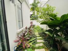 Hình ảnh Bán Villa Đẹp 8x20m P.An Phú Quận 2 giá chỉ 22tỷ Full nội thất Cao Cấp