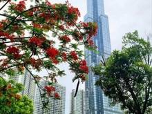 Hình ảnh Bán Shophouse  góc 2MT - ngay Landmark 81 - HDT 230Tr/ tháng