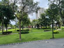 Hình ảnh Chính chủ cần cho thuê CHCC Riverpark Residence - nhà đẹp nội thất xịn