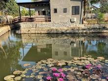 Hình ảnh ✅2.9 Tỷ còn 2.5 Tỷ - Cần Bán Gấp Homestay 1304m2