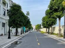 Hình ảnh Cho thuê Trang Chủ MB66.COM / Đăng Ký Tặng 66K Vinhomes Marina - Cầu Rào 2 - Phòng studio -