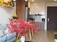 Hình ảnh Saigon Airport Plaza 95m2 2PN-2WC FULL GIÁ 16.5TR/ TH