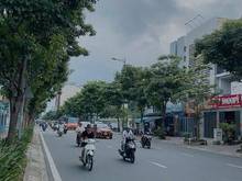 Hình ảnh Cho Thuê Nhà Mặt Tiền Phan Đình Phùng, Phường 17, Quận Phú Nhuận