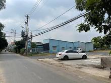 Hình ảnh Cho Thuê 1500m Đất Bãi Xe Đã San Lấp An Phú Đông 25 Q12.