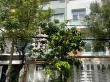 Hình ảnh CHO THUÊ Nhà đẹp 3 Tầng, 5 PN, đường 12m. Phường 13, Bình Thạnh