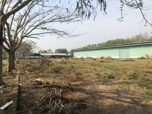 Hình ảnh đất bình duong 100tr/1000m2 so hong