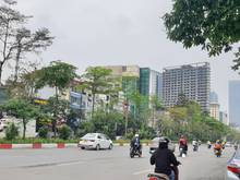 Hình ảnh Bán nhà mặt phố Văn Cao, Ba Đình, 240m, 2T, MT 6.5m, vỉa hè, chỉ 88 tỷ