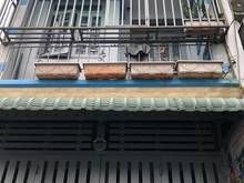 Hình ảnh Về quê bán nhà Nguyễn Văn Luông- Q6- 52m2- Sổ hồng- 1 Tỷ 210 triệu