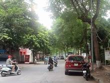Hình ảnh Ngon bổ rẻ đẹp - Mặt phố Nguyễn Đình Hoàn - 99m2  - MT 7,3m - Lô góc