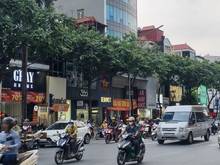 Hình ảnh Cho Thuê Mặt Bằng Chân Đế Tòa Nhà Phố Láng Hạ, Đống Đa. Kd-Vp 120tr