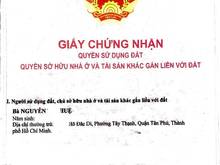 Hình ảnh Bán nhà mt kinh doanh - võ thành trang - tân bình 3 tầng 195m2