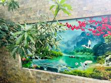 Hình ảnh BIỆT THỰ 3 TẦNG _ Gần trường Singapore Đà Nẵng