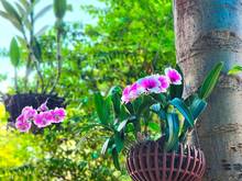 Hình ảnh Chính Chủ Cho Thuê Villa Góc 2MT Khu 280 Lương Định Của Q2 Giá Chỉ 6x