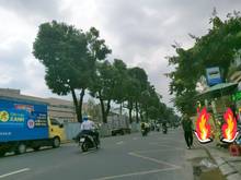 Hình ảnh 🏕 GIÁ RẺ- Dòng Tiền Tốt- MB KD Đa Ngành Nghề-Nguyễn Kiệm - 40M²- 5x t