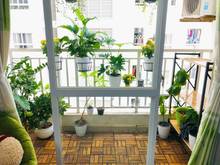 Hình ảnh Về quê nên bán Trang Chủ MB66.COM / Đăng Ký Tặng 66K Lotus Garden Tân Phú, dt 67m2, đã có sổ