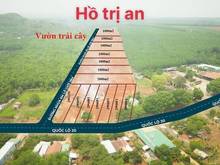 Hình ảnh Đất nền có sổ tại quốc lộ 20 Đồng Nai