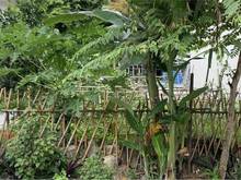 Hình ảnh Bán đất mặt đường ngõ 5 bãi muối thông lideco,cao thắng,hạ long,quảng