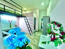 Hình ảnh Duplex Sân Sau Full NT Thoáng Ngay Chợ Hoàng Hoa Thám Tân Bình