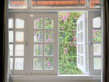 Hình ảnh 🪐 Cho Thuê Căn Hộ Scandinavian Style, Đầy Đủ Tiện Nghi, Gần Bùi Viện