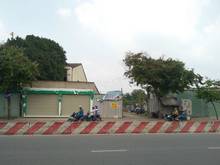 Hình ảnh Cho thuê Đất 30x57m Lê Trọng Tấn Phường Tây Thạnh, Tân Phú
