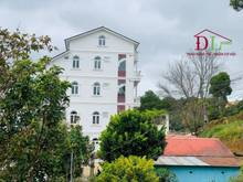 Hình ảnh Bán biệt thự mới Hoàng Hoa Thám P10 Đà Lạt view rừng thông - MN3476