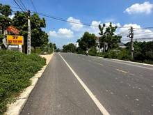 Hình ảnh Chính Chủ Cho Thuê Đất Trống Mặt Đường ĐT295 Hiệp Hòa, Bắc Giang