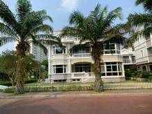 Hình ảnh Bán gấp biệt thự đơn lập Chateau, phú mỹ hưng, quận 7