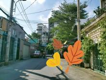 Hình ảnh 🏕 Nhỉnh  4 TỶ -Tổ ấm YÊU THƯƠNG Đón Tết -NGuyễn TháI Sơn- 44M²- 3 Pn